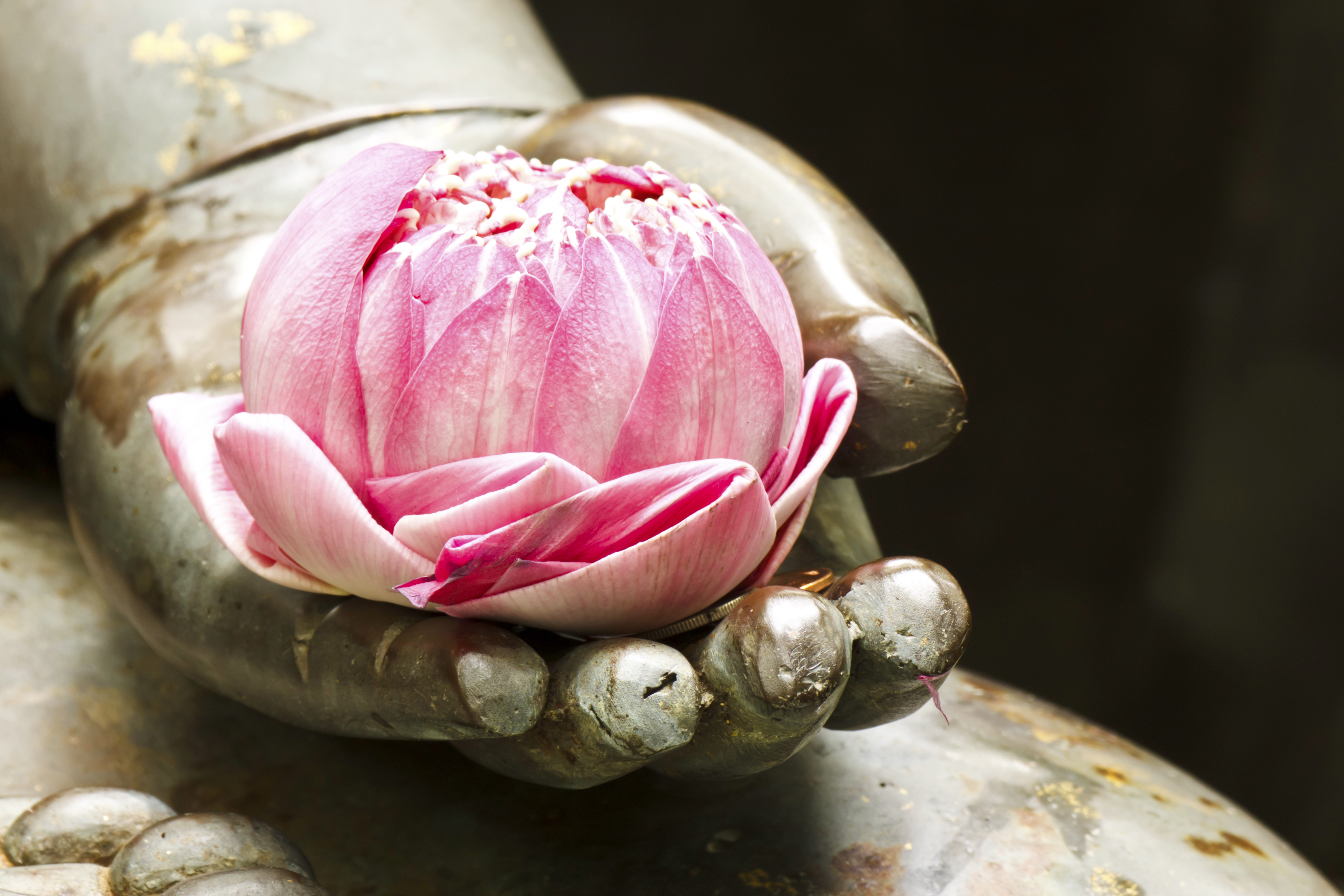 thinkstockphotos 464942131