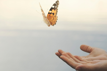 au spring 2023 blog web 1